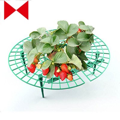 Keep Strawberries off rot in the rainy days 5pcs  Handy strawberry supports for your garden,